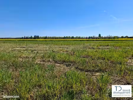 terrain - terre d'oree