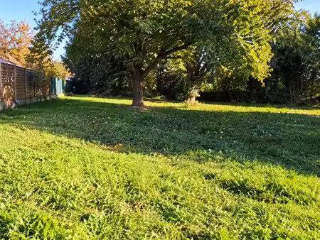 à vendre – terrain constructible arboré à hagenthal-le-haut (68)■10 74 ares (1 074 m²) – 1