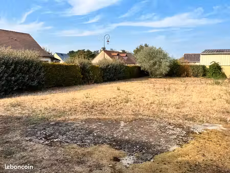 terrain constructible