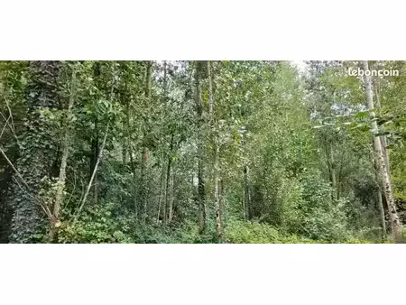 terrain de loisirs  bois