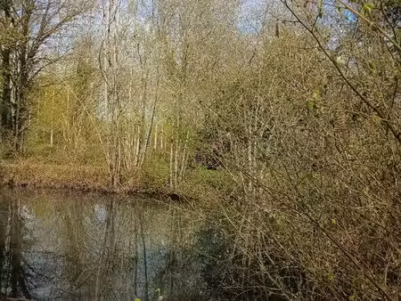 terrain de loisirs