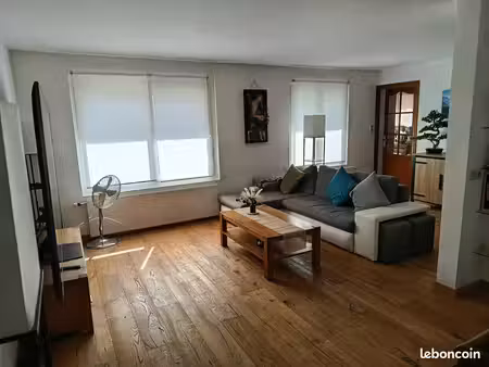 vend appartement duplex  101m²  evian les bains  garage  jardin et bain nordique
