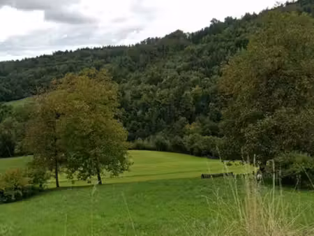 terrain viuz en sallaz 988 m²