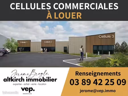 local commercial 272 m² altkirch