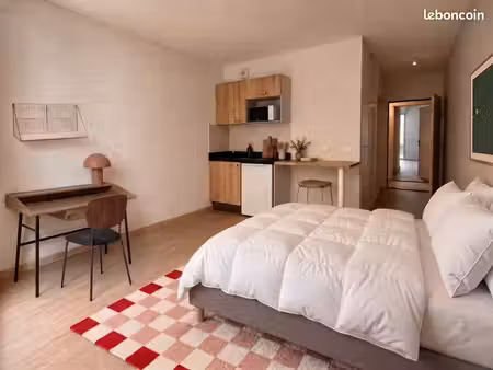 studio 1 pièce 19 m²