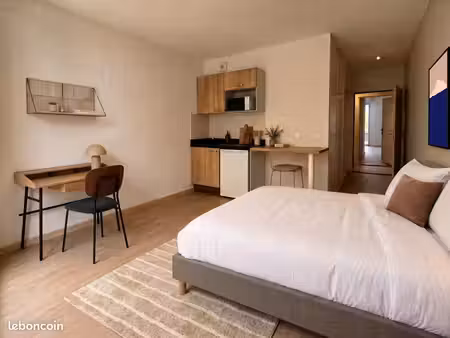 studio 1 pièce 19 m²
