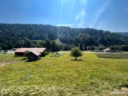 chalet 5 pièces