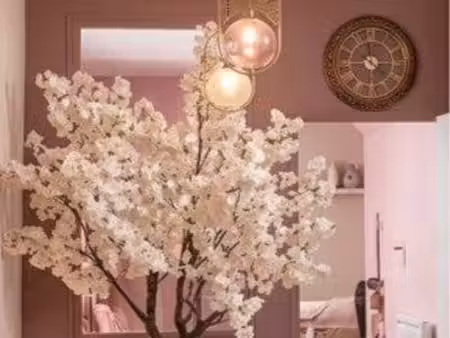 local commercial à louer - niort centre - actuellement salon esthétique