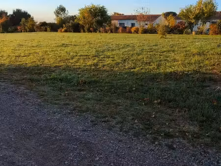 terrain constructible