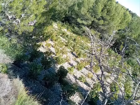 terrain agricole non constructible