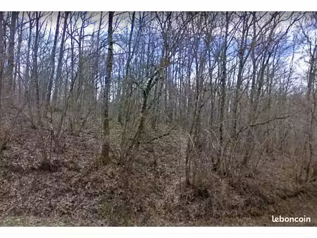 à vendre - terrain boisé de 0 5 hectare