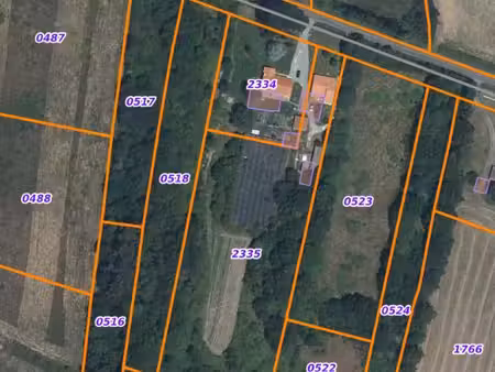 terrain a vendre (taillis)
