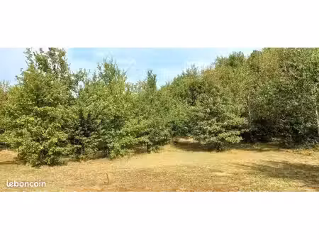 terrain 1 025 m² montdurausse