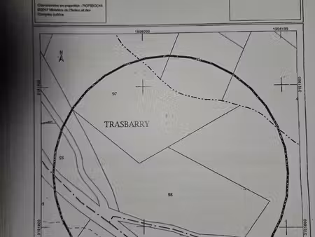 terrain boisé