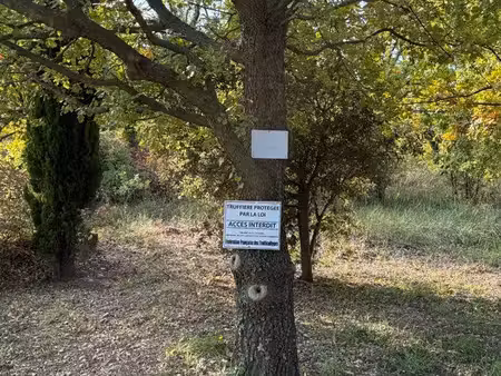 truffière - terrain agricole ou loisirs - puits - eau