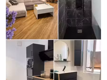 appartement t3 entièrement rénové et meublé – castres