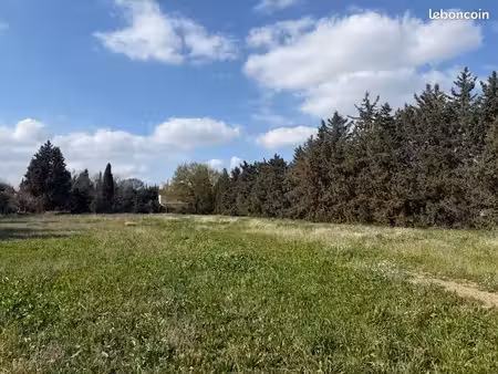 avignon-montfavet terrains à bâtir viabilisés