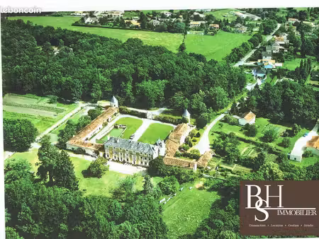 château 600 m² savigny-lévescault
