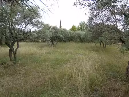 terrain à bâtir 1 112 m² avec oliveraie – bédoin (84)