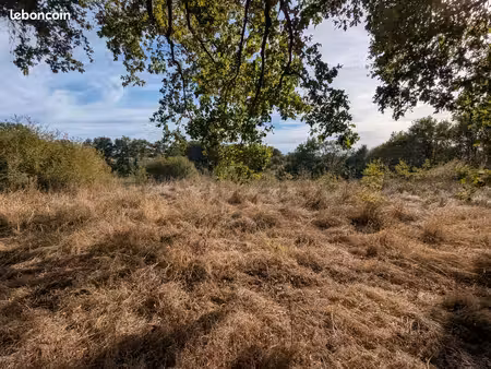 terrain agricole