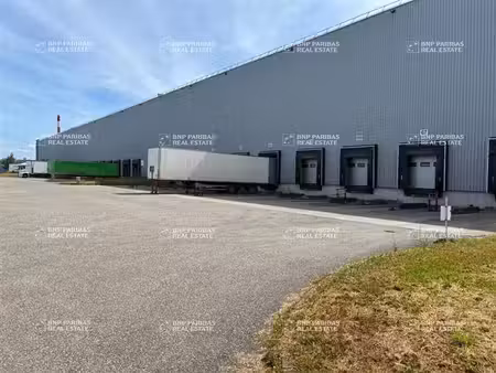 entrepôt à louer