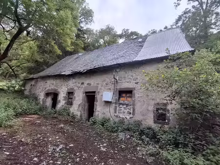 vente maison 2 pièces 200 m² à cheylade (15400)  37 000 €