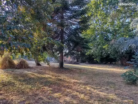 terrain constructible