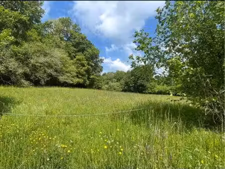 terrain avec ruisseau
