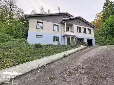 mirecourt maison familiale sans vis-à-vis avec jardin arbo