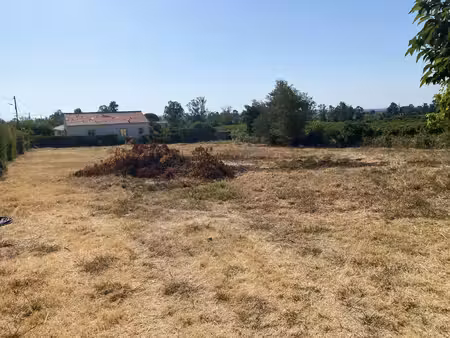 terrain constructible 1037 m²