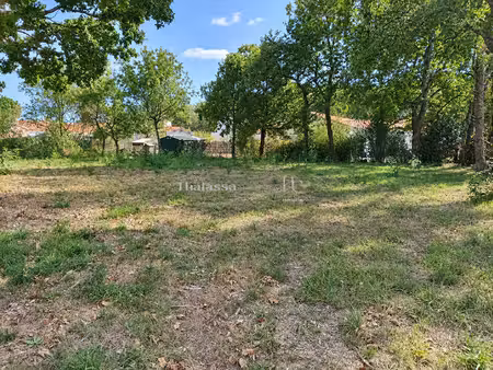 terrain saint brevin les pins 965 m2