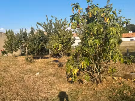grange avec terrain