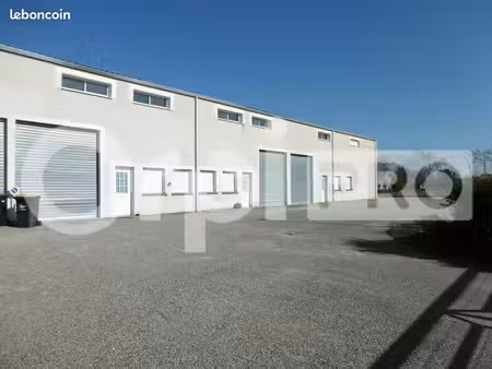 local d'activité 300 m²