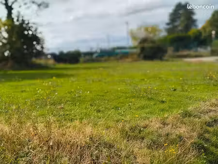 terrain non viabilisé