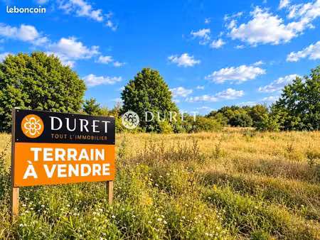 local 6181 m² falleron