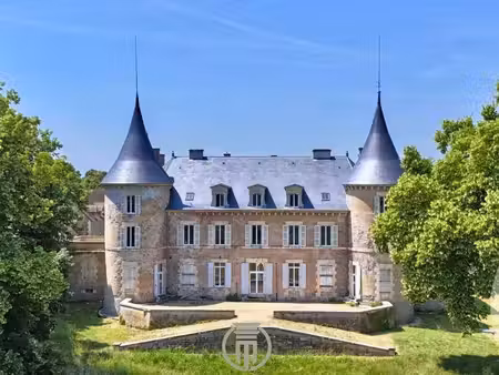 chateau 28 pièces 947 m²