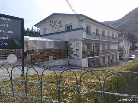 vends bâtiment 480 m2 veynes