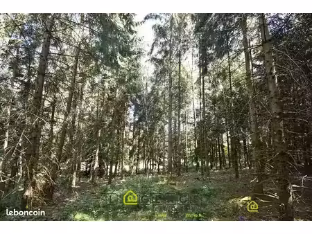 terrain 5420 m² anould
