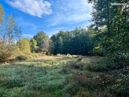 à vendre – beau terrain de 6 013 m² – cadre idyllique pour les amoureux de la nature