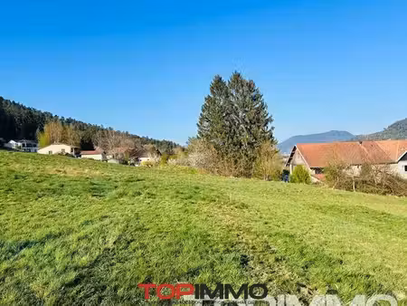 terrain 1199 m² saint-dié-des-vosges