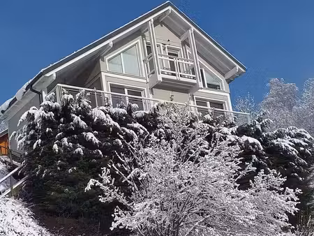 chalet vue imprenable la bresse