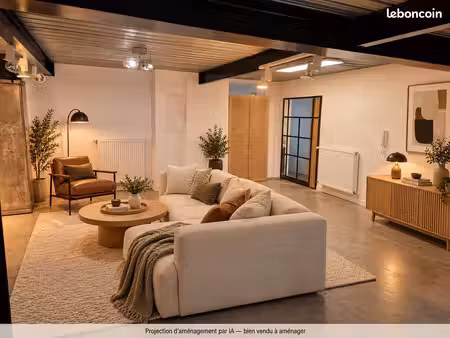 lille bois-blancs – loft de 125 m² avec mezzanine à aménager – vente directe