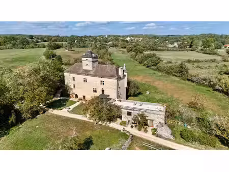château à vendre