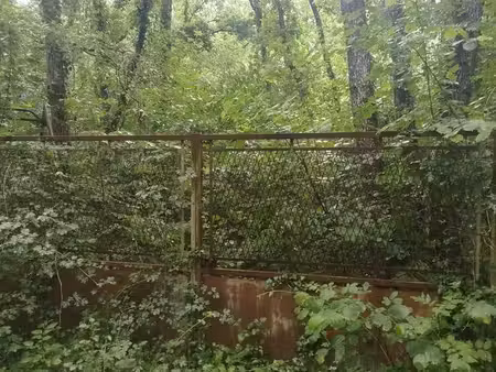 terrain dans lotissement en forêt (accès par la commune de mondeville 91590)