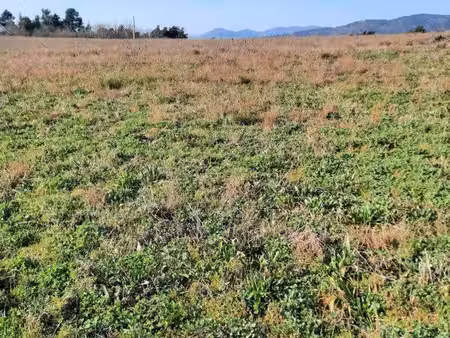 terrain agricole