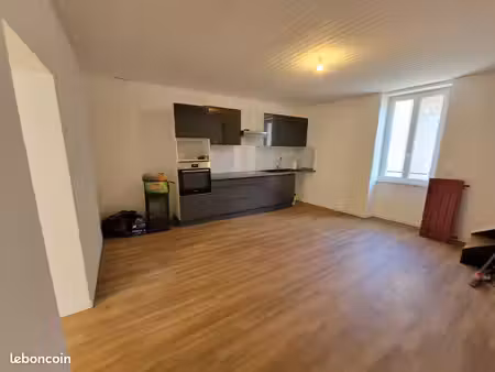 grande maison rénovée avec garage - douelle