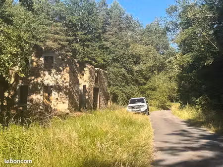 forêt de caractère avec bâtisse en maçonnerie