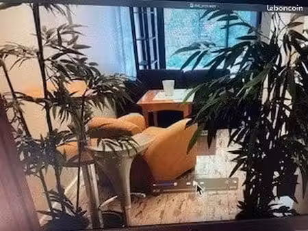 appartement 2 pièces 32 m²