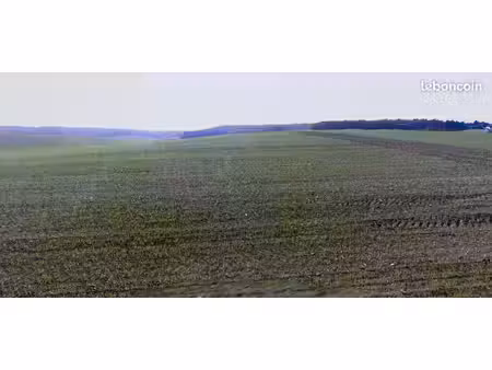 terrain 1 270 m² messon