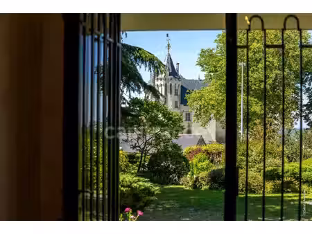 propriete d'exception à vendre à saumur (49400) panorama d'exception sur le château et la 
